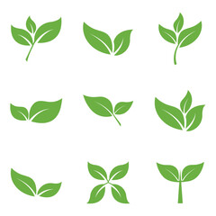 Leaf Logo Icon Graphic Background Template