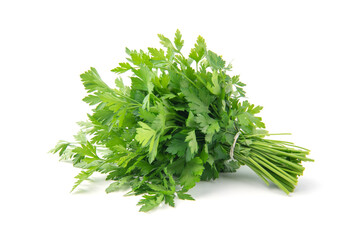 Fresh green parsley bunch on white background.