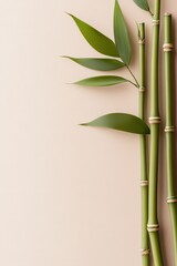 Fototapeta premium Soft green bamboo stalks with natural knots and leaves are arranged in a minimalist style on a light beige background, creating a serene and organic ambiance perfect for text overlay