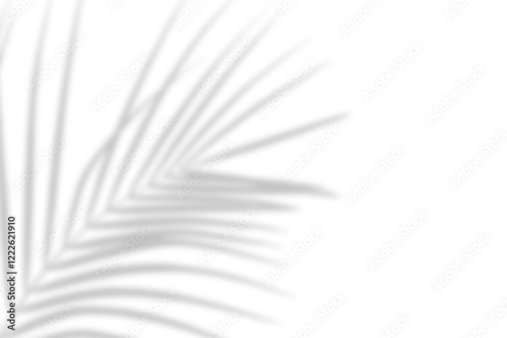 Fototapete realistic palm tree branch shadow overlay effect on the corner. tropical coconut leaf shadow on tran