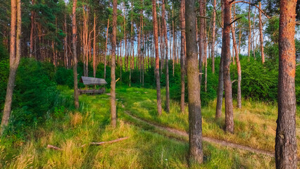 vivid green yellow forest edge landscape April warm sun scenic idyllic environment space with wooden garden house