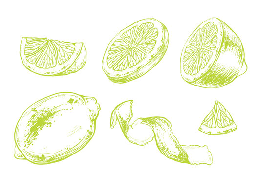 Set of slice and whole lemon, peel or zest of Lemon and isolated on white background. Vector ink vintage engraving illustration for menu, web and label. Hand drawn in a graphic linear drawing citrus.