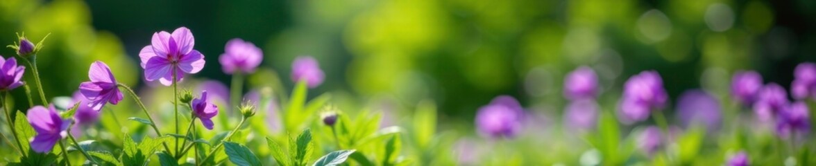 Purple flowers swaying gently in the breeze amidst lush greenery, garden, greenery, colorful