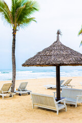 Tranquil beach scene with palm trees and wooden loungers under a straw umbrella