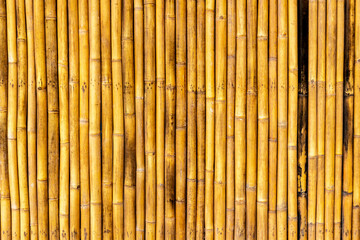Golden bamboo texture with natural vertical pattern and distinctive knots