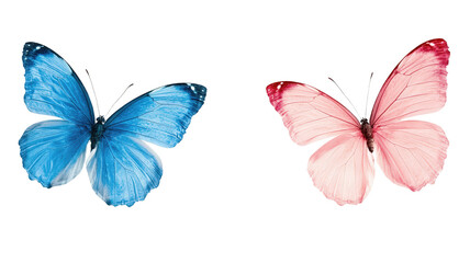 Blue and pink butterflies isolated on transparency background, showcasing vibrant colors and delicate wings