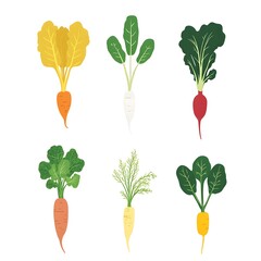 set of fresh vegetables