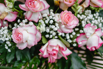 Beautiful pink roses with white baby's breath and lush green leaves