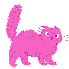 angry cat ready to fight