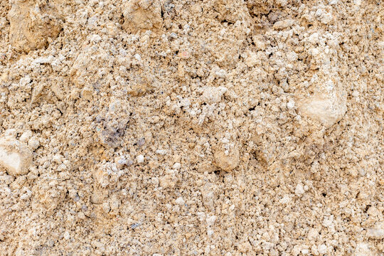 Close-up of sandy soil texture with pebbles
