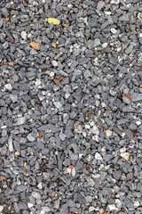 Close-up of grey gravel path with small pebbles and sparse leaves