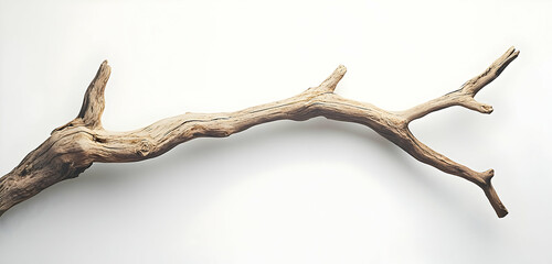 Fototapeta premium Rough textured wooden branch mockup for eco-friendly or spa product promotion, set on a light grey background.