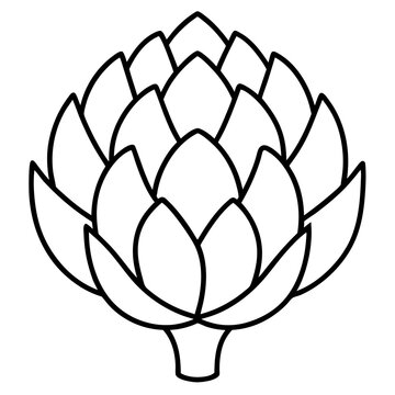 black and white artichoke drawing clip art preview