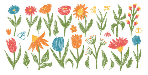 Spring flowers crayon drawn set. Tulip, daisy, chamomile and marguerite plants doodle. Summer aster floral kids elements. Chalk style childish shape. Pencil vector illustration on white background.
