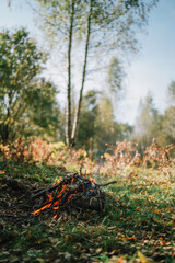 autumn in the forest ,bonfire