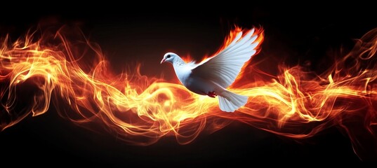 Fototapeta premium Fiery Peace. Flying White Dove with Fire Effect on Black Background for Spiritual Concepts