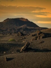 sunrise in the desert