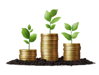 plant growing from coins isolated on transparent background