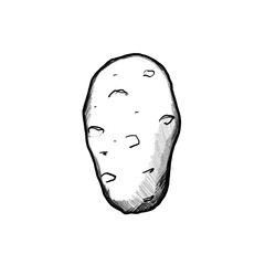 Potato, Vegetable, kitchen, cooking, dish, vegetarian, delicious, recipe, menu, food, healthy, fit, hand-drawn pencil drawing, illustration, black, transparent background, PNG