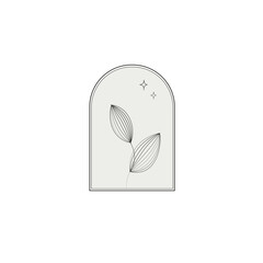 aesthetic plant in a frame