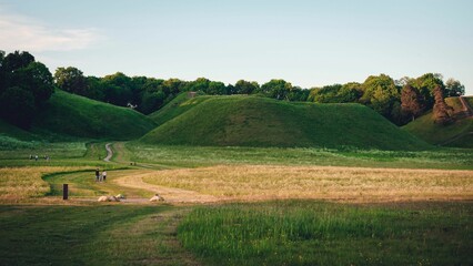 Serene landscape of grassy mounds in a park.