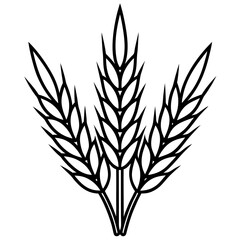 Barley Outline Vector Illustration
