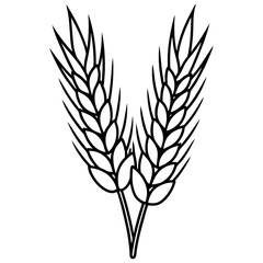 Barley Outline Vector Illustration