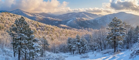 Snowy mountain landscape with evergreen trees in foreground, soft blue sky with clouds in background, creating a serene winter scene in nature.