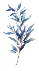 Naklejka premium Stunning Watercolor Eucalyptus Branch Art Print