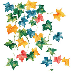 Vibrant Autumn Ivy Leaves Watercolor Painting Colorful Nature Botanical Design ,isolate transparent  background