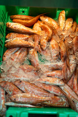 red mullet fish in the box on sale at a fish market.