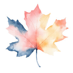 Watercolor Autumn Maple Leaf Illustration Pastel Colors Fall Foliage Design Element ,isolate transparent  background