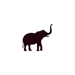 elephant isolated on white background silhouette 