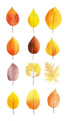 Obraz premium Autumn Leaves Watercolor Design - Colorful Fall Foliage