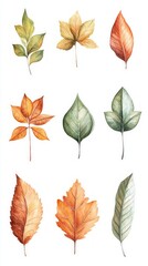 Autumn Watercolor Leaves - A Collection of Vibrant Fall Foliage