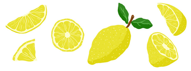Whimsical lemon set. Lemon slices, half a lemon, lemon wedges, whole lemon. Hand drawn Vector design elements. Ingredients for limoncello, lemonade, lemon tart.