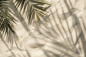 Obraz premium Palm leaf shadows on beige sand backgrounds outdoors nature.