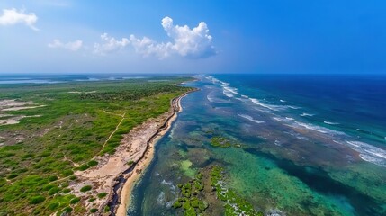 Top view of a coastline where protected turtle nesting areas are visible.