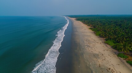Top view of a coastline where protected turtle nesting areas are visible.