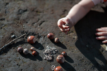 どんぐりを拾う幼児の手/A child's hand picking up an acorn