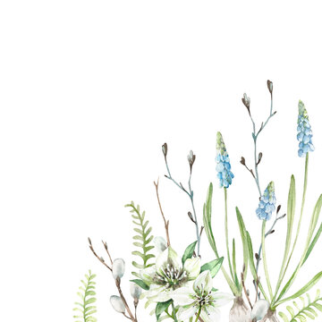 Spring floral card with muscari flowers, willow branch and fern leaves. Hand-drawn watercolor illustration isolated on white background. Template for design of postcards and labels 