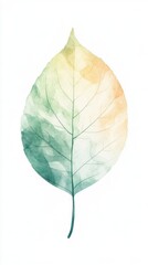 Delicate Watercolor Leaf Art: A Vibrant Botanical Illustration for Nature Lovers. A Stunning Watercolor Leaf Design with Soft Colors and Intricate Veins. A Perfect Piece for Home Decor or Gift Giving.