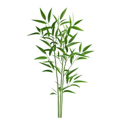 Fototapeta premium A vibrant and lush bamboo plant, symbolizing tranquility and resilience in nature.