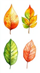 Obraz premium Autumn Leaves Watercolor Painting - Vibrant Fall Colors