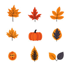 Obraz premium Colorful autumn leaves and a pumpkin illustration for seasonal decor., isolated on a transparent background.