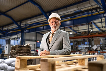 Portrait of factory CEO director in business suit and hardhat visiting production hall.