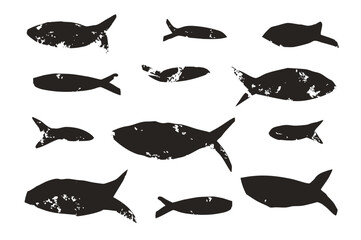 Fish set. Sardines school collection. Salmon silhouettes. Undersea animals. Vector hand drawn cutout collage elements illustration.