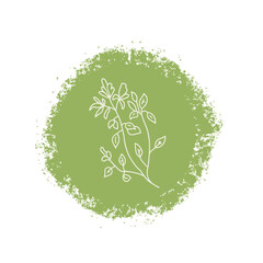 Oregano culinary herb label. Hand drawn badge. Vector hand drawn doodle illustration isolated on white background.