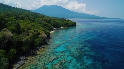 Obraz premium Aerial view of a tropical island with a lush forest, clear turquoise waters, and a distant mountain