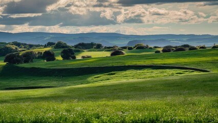 Fototapeta premium Lush green rolling hills under a partly cloudy sky with distant mountains, featuring scattered trees and a serene landscape composition.